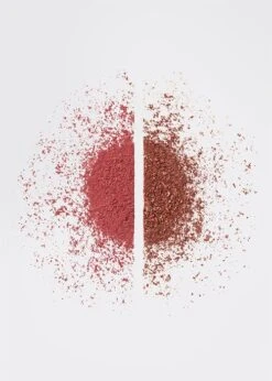 Noosh Face The Day Palette 11,6g -Schwarzkopf Winkel 1635330562243rp3omxfb7uf5khvfy7ixrh