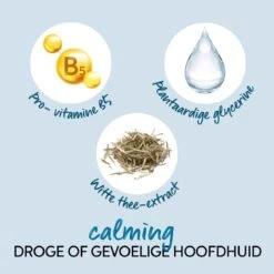 Wella Elements Calming Shampoo1000ml -Schwarzkopf Winkel 92718 08