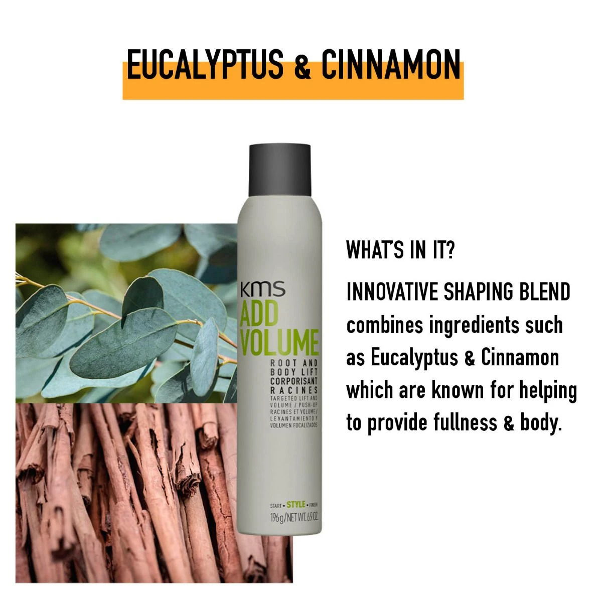 KMS AddVolume Root & Body Lift 200ml KMS AddVolume Root & Body Lift 200ml -Schwarzkopf Winkel kms av images root body lift hair spray 200ml 117061khm image 3 pt02