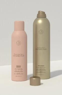 Omniblonde Perfectionista Finishing Spray 400ml -Schwarzkopf Winkel ob book illu 22 texture finish 2021